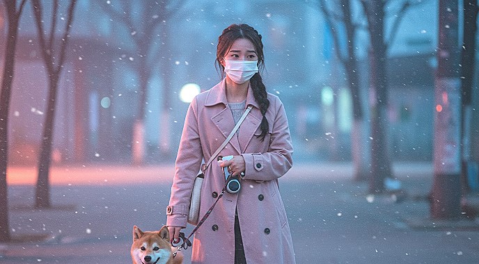미세먼지 심할 때, 강아지 산책 하면 안되는 이유 10 미세먼지 심할 때, 강아지 산책 하면 안되는 이유 9