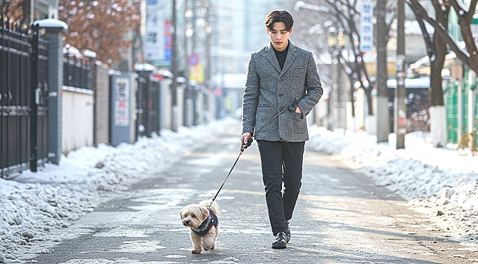 겨울철 강아지 산책 시 주의해야 할 염화칼슘의 위험성 14 겨울철 강아지 산책 시 주의해야 할 염화칼슘의 위험성 13