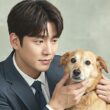 강아지 치매 증상과 예방하는 법 27