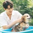 강아지 목욕 시 적절한 물 온도와 목욕 방법 21