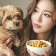 강아지 병아리콩 급여 방법 및 효능 33