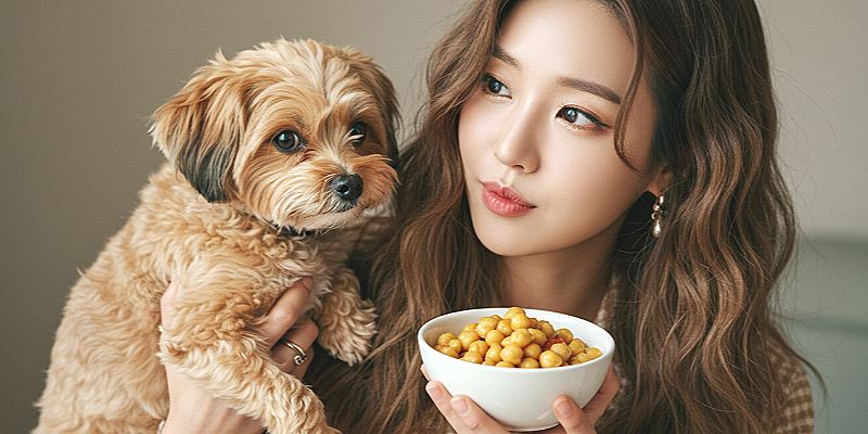 강아지 병아리콩 급여 방법 및 효능 9