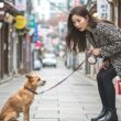 강아지 산책 거부 원인과 효과적인 대처법 15