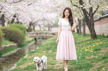 강아지 식욕 부진 이유 및 해결방법(+ 밥 안먹을 때) 17
