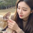 강아지 귀 염증 원인, 증상, 관리 및 예방법 51