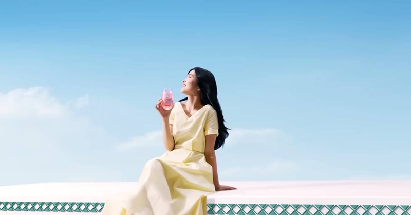 티젠 콤부차 효능, 가격, 섭취 방법, 부작용 및 주의사항 7