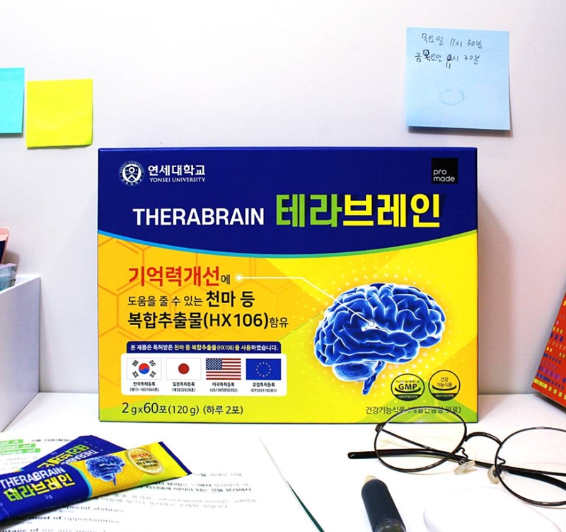 뇌 영양제 테라브레인