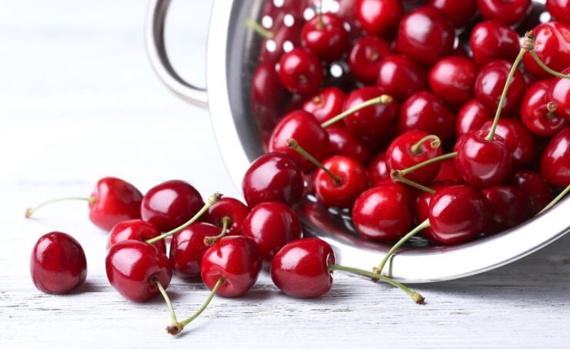 타트체리 분말 구매처 추천