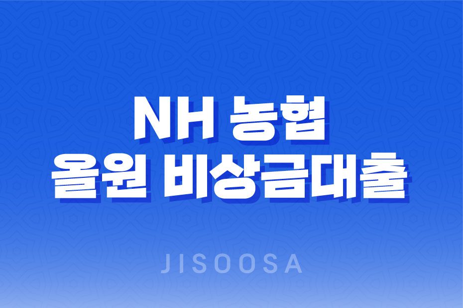 NH 농협 올원 비상금대출 소득, 직업과 상관없이 휴대폰만 있으면 신속 대출 가능 1