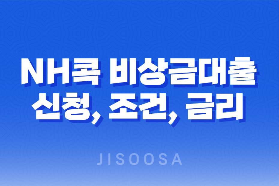 NH콕 비상금대출 신청방법, 조건, 금리, 후기 1