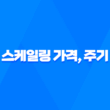 스케일링 가격, 주기, 의료보험 적용여부 및 주의사항 29
