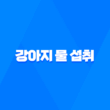 강아지 물 섭취 - 수돗물 vs. 기타 물 종류 27