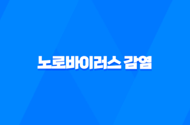 노로바이러스 감염 경로와 예방 방법 13