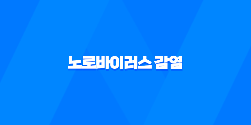 노로바이러스 감염 경로와 예방 방법 7