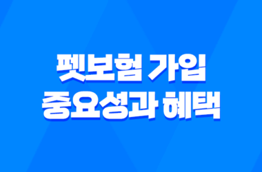 펫보험 가입의 중요성과 혜택, 반려동물을 위한 보호 방법 2023년 7