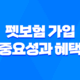 펫보험 가입의 중요성과 혜택, 반려동물을 위한 보호 방법 2023년 25