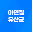 아연질유산균 피토틱스 옐로우, 여성 건강과 면역력을 동시에 관리하는 제품 5