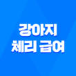 강아지 체리 급여 가능한지, 주의할 점과 안전한 방법 1