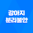강아지 분리불안 해소를 위한 장난감 추천 리스트 15