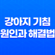 강아지 기침의 원인과 해결법: 건강한 반려견 생활 3