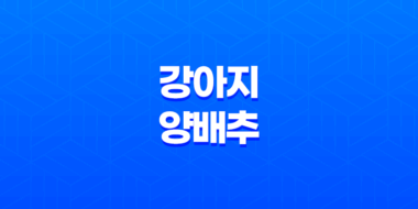 강아지 양배추 급여 시 주의 사항과 양배추의 효능 71