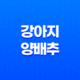 강아지 양배추 급여 시 주의 사항과 양배추의 효능 15