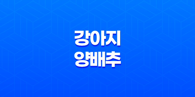 강아지 양배추 급여 시 주의 사항과 양배추의 효능 8 강아지 양배추 급여 시 주의 사항과 양배추의 효능 7