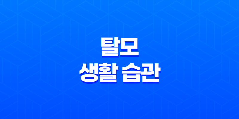 탈모 생활 습관 5가지 8 탈모 생활 습관 5가지 7