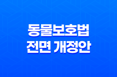 2023년 동물보호법 전면 개정안 내용 정리 11