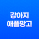 강아지 애플망고 급여할 수 있을까요? 알아보세요! 27