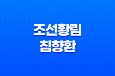 조선황림 침향환 고급 한약재를 사용한 건강환의 효능과 가격 27