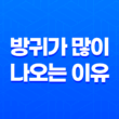 방귀가 많이 나오는 이유와 해결 방법 15