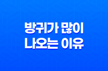 방귀가 많이 나오는 이유와 해결 방법 21