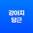 강아지 당근 줘도 될까요? (+ 주는 방법과 주의사항) 25