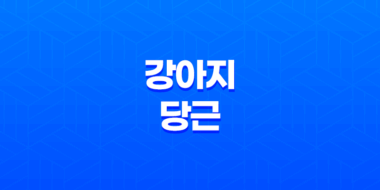 강아지 당근 줘도 될까요? (+ 주는 방법과 주의사항) 41