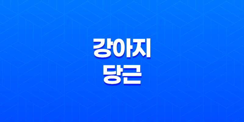 강아지 당근 줘도 될까요? (+ 주는 방법과 주의사항) 7