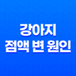 강아지 점액 변 원인과 대처방법에 대한 안내 29