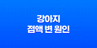 강아지 점액 변 원인과 대처방법에 대한 안내 39