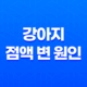 강아지 점액 변 원인과 대처방법에 대한 안내 29