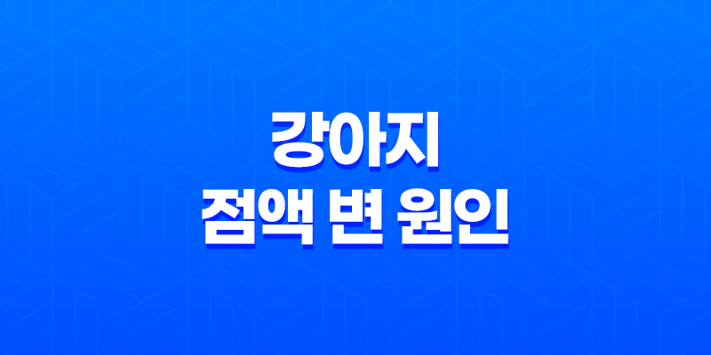 강아지 점액 변 원인과 대처방법에 대한 안내 8 강아지 점액 변 원인과 대처방법에 대한 안내 7