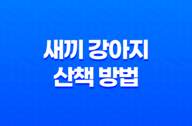 겨울에 안전한 새끼 강아지 산책 방법과 주의사항 7
