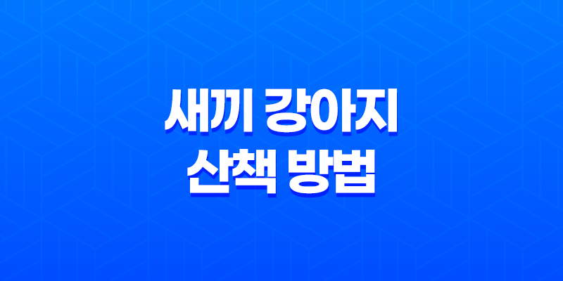 겨울에 안전한 새끼 강아지 산책 방법과 주의사항 8 겨울에 안전한 새끼 강아지 산책 방법과 주의사항 7
