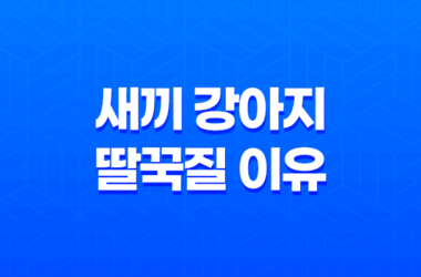 새끼 강아지 딸꾹질 이유와 해결 방법 9