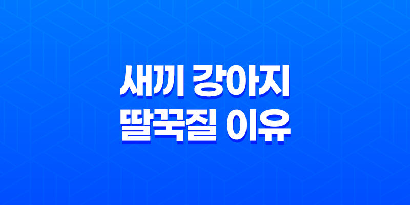 새끼 강아지 딸꾹질 이유와 해결 방법 8 새끼 강아지 딸꾹질 이유와 해결 방법 7