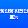 정관장 황진단 효능, 가격, 섭취 방법, 부작용 및 주의사항 65