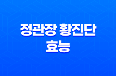 정관장 황진단 효능, 가격, 섭취 방법, 부작용 및 주의사항 25