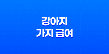 강아지 가지 급여해도 될까요? 가지의 영양성분과 급여 방법 7