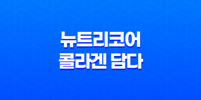 뉴트리코어 콜라겐 담다 효능과 가격 7
