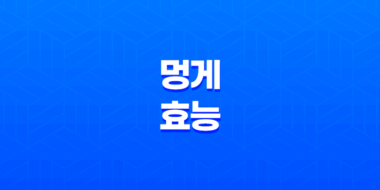 멍게 효능, 혈관 건강부터 다이어트까지 다양한 효능 79