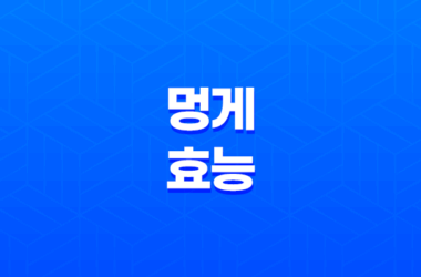 멍게 효능, 혈관 건강부터 다이어트까지 다양한 효능 17